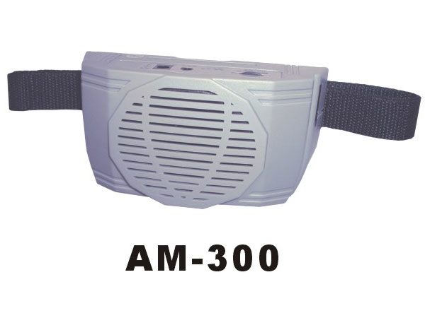 ѧ˷AM-300